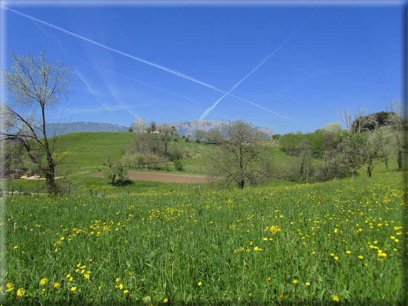 foto Paesaggi Collinari in Primavera